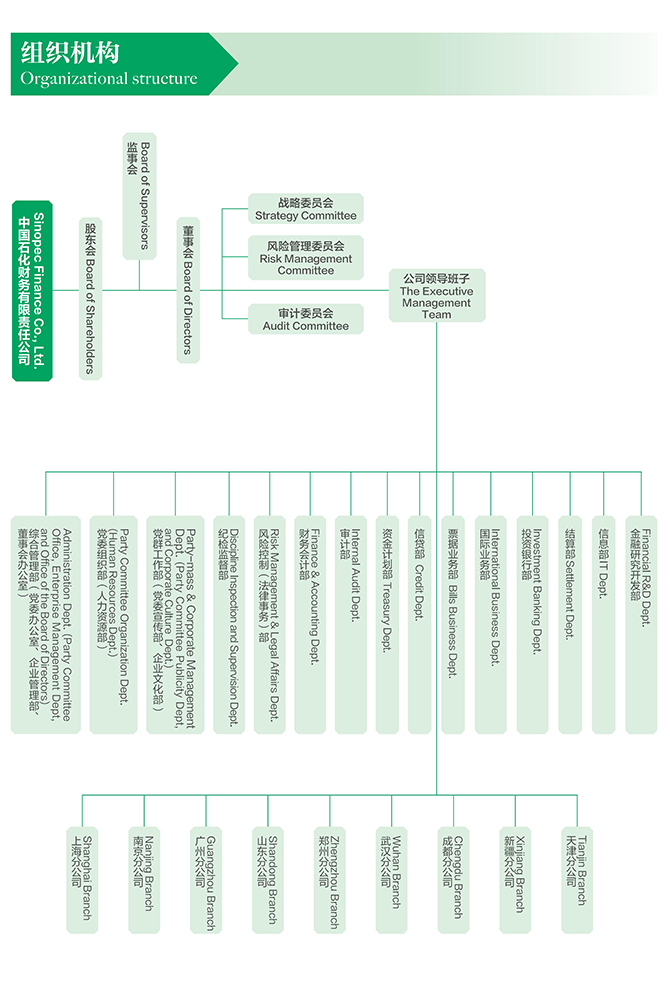 组织结构
